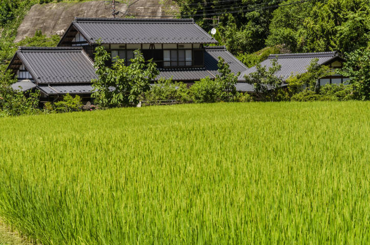 300 - Ruta Nakasendo - Magome-Tsumago - arrozales